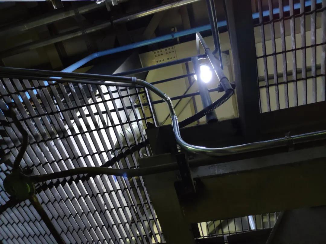 1628132006547024406.jpg 10.jpg