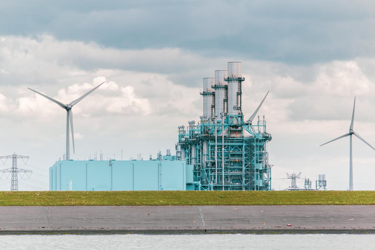 1647313560920063046.jpg 5.jpg